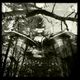 Image for article titled Shooting Challenge: Double Exposure, Gallery 2
